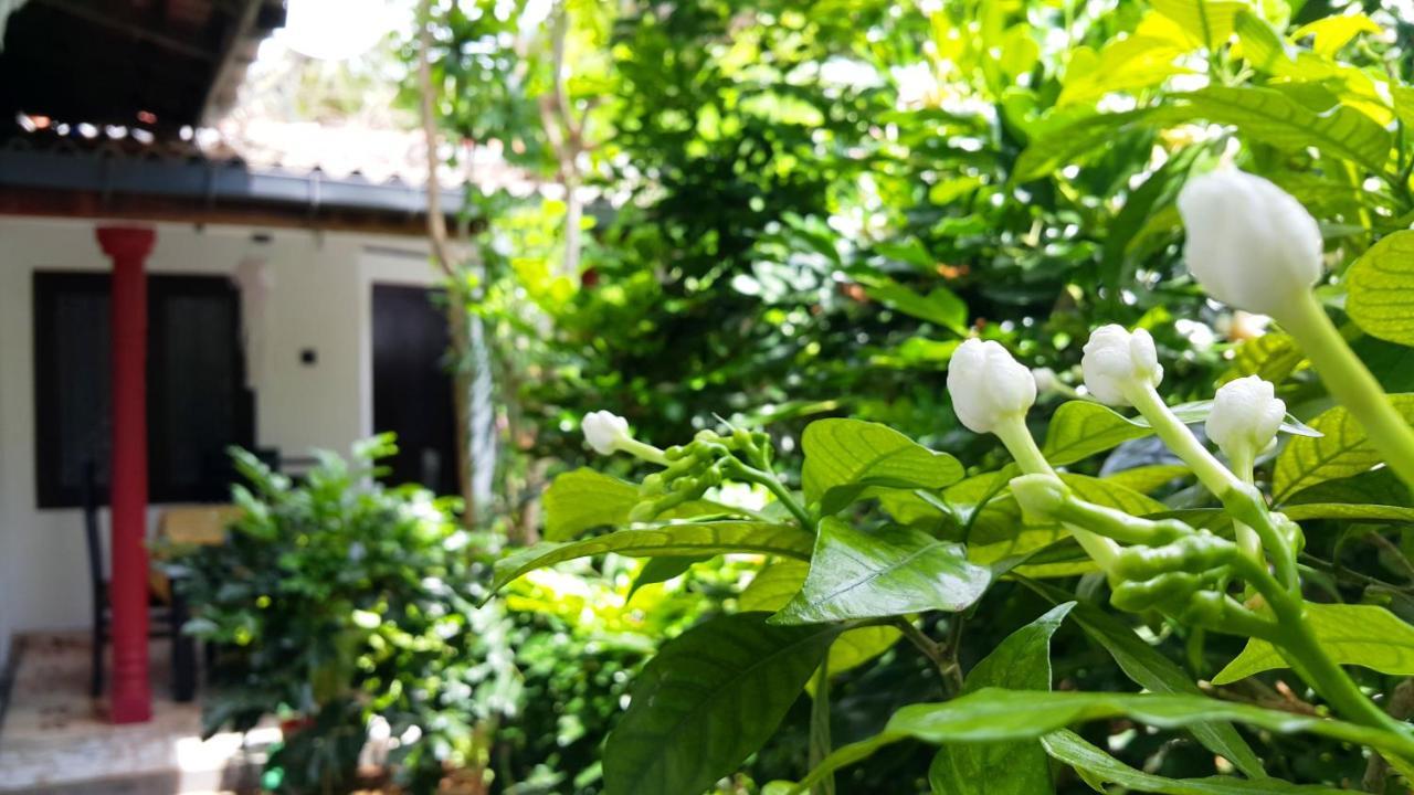 Green Garden Guest Мирисса Экстерьер фото